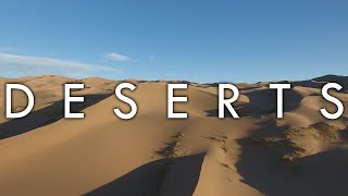 How to make desert habitat projectDesert habitat dioramaDesert biome animals and plants [upl. by Anattar]