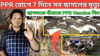 ছাগলকে PPR Vaccine এইভাবে লাগান আর ছাগলকে বাঁচান  অধ্যায় ছাগলের রোগ ও প্রাথমিক চিকিৎসা [upl. by Analah218]