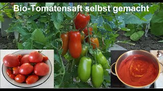 Tomatensaft selber machen mit Tomaten aus eigenem Garten [upl. by Yrolam]