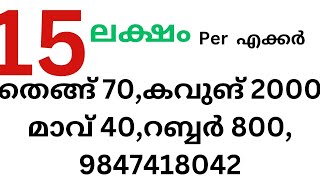 വെറും 15ലക്ഷം തെങ്ങ് 70കവുങ് 2000 റബ്ബർ 800 ചെറിയ തോട് Only 15 lakh per acer Cocanut Aricanut mango [upl. by Godwin566]