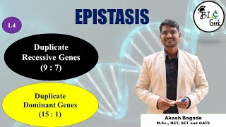 Genetics Duplicate Recessive and Duplicate Dominant Epistasis BScMSc SPPU Life Science [upl. by Ednihek]