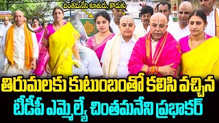 చింతమనేని కూతురు కొడుకు😍 Chintamaneni Prabhakar Visits TIrumala With His Family  Chintamameni Son [upl. by Nare]