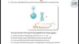 8 Sınıf Mozaik İntro 2 Fen Bilimleri 4 [upl. by Arek306]