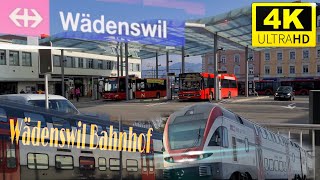 Bahnhof Wädenswil beim Züge  train station in Wädenswil Switzerland 4K 60fps video [upl. by Kronick]