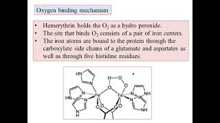 KSET ExamBioinorganic Chemistry4Hemerythrin Structure and function Iron Metalloporphyrins Kannada [upl. by Eudoxia515]