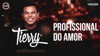 Tierry  Profissional do Amor [upl. by Irahk19]