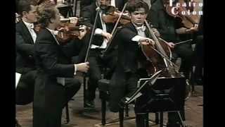 BRAHMS Double Concerto  Renaud amp Gautier Capuçon  Ligia Amadio  OFBA  Mov 2m4v [upl. by Mcintyre]