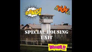 Correctional Officer Reacts Special Housing Responsibilities in Prison Shocking Secrets [upl. by Lechner759]