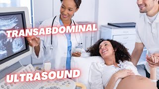 Transabdominal Ultrasound in Pregnancy transvaginal ultrasound Prenatal Ultrasound [upl. by Timmy46]