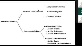 Recursos de Cobro Acciones Cambiarias y Extracambiarias  Letra de Resaca  1era parte [upl. by Ylelhsa]