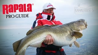 Rapala Pro Guide  Halibut and Cod Fishing at Sørøya [upl. by Aldous]