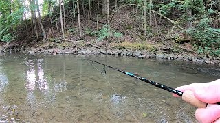 TROUT Fishing TIPS  Trout Fishing with Spinners in Creeks amp Streams [upl. by Beverlie]