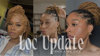 Loc Journey  2 Year Loc Update  Trying a New Style [upl. by Beauchamp333]