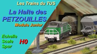 H0 quotLa Halte des Petzouillesquot Les Trains du Tus  JPO Rotonde 52  2023 [upl. by Eriuqs]