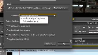 Sequenz aus Premiere Pro importieren  Episode 228 [upl. by Venu495]