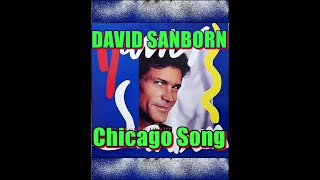 Chicago Song  DAVID SANBORN [upl. by Assyl]