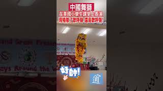 當中國舞獅走進美國校園 小孩的反應是？中國舞獅中國春節龍年 [upl. by Euqinahc645]