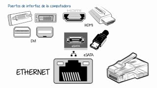 Puertos de Interfaz de la Computadora [upl. by Ariaic772]