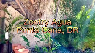 FULL WALKTHRU Zoetry Agua in Punta Cana DR Property tour including romantic Junior swimup suite [upl. by Eniawd]