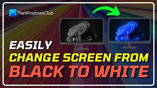 How to Change Screen From BLACK TO WHITE on Windows 11 COMPLETE GUIDE [upl. by Manvel65]