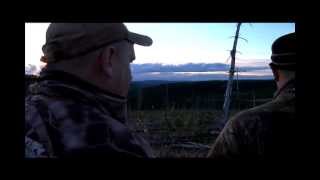 Mathews Bow…Kills Big Old MOOSE [upl. by Chaker312]