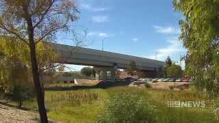 Mawson Lakes Predator  9 News Adelaide [upl. by Gussie]