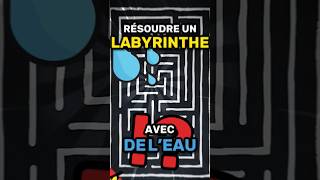 On peut résoudre un LABYRINTHE avec de LEAU  💧 [upl. by Ardyce]