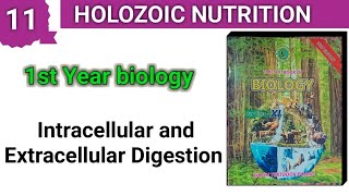 Intracellular and Extracellular Digestion  Holozoic Nutrition  class 11 [upl. by Lielos]