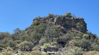 Jueves santo de Paseo plan de mimbres [upl. by Eadrahs]