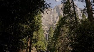 California 101 Yosemite National Park [upl. by Alodee646]