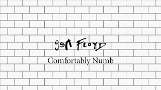 Comfortably Numb Pink Floyd  Cover performed by genFloyd [upl. by Camarata]