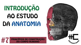 PRINCÍPIOS DE CONSTRUÇÃO DO CORPO HUMANO [upl. by Strohl]