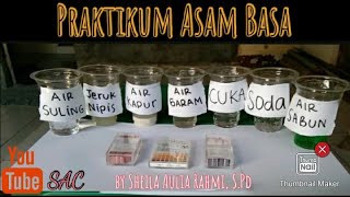 PRAKTIKUM ASAM BASA [upl. by Hodess]