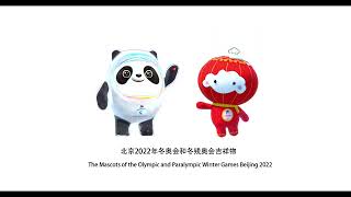 2022北京オリンピックパラリンピックマスコット 2022 Beijing Olympics and Paralympics mascot quotBing Dwen DwenquotquotShuy Ron Ronquot [upl. by Nalniuq]