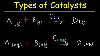 Homogeneous vs Heterogeneous Catalysts  Basic Introduction [upl. by Irisa788]