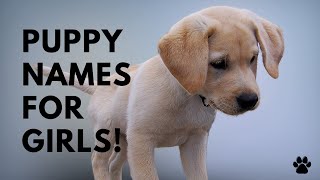 🐶 Puppy Names For Girls  51 CUTE amp TOP Ideas  Names [upl. by Kenney]