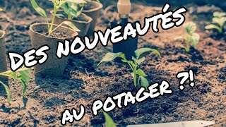 MES NOUVELLES PLANTATIONS AU POTAGER [upl. by Nhor287]