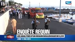 Un requin bouledogue à l’origine de l’attaque mortelle  13052019 [upl. by Natal413]