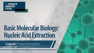 Basic Molecular Biology Nucleic Acid Extraction – Liquid Phase Extraction [upl. by Ahsemaj110]