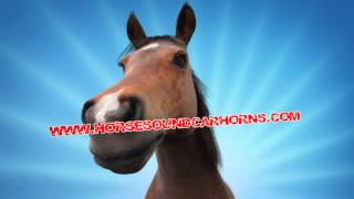 Horse Whinny Custom Musical Car Horn [upl. by Hanad335]