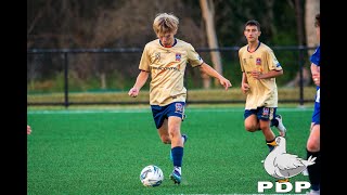 2023 U20s FNSW League 2 Men’s Hurstville FC vs Newcastle Jets Round 16 Highlights [upl. by Ecnedac]