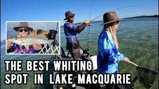 Lake Macquaries best fishing spot  Lets Fish Lake Mac Comp  Tinny  Whiting  Flathead  Bream [upl. by Kung]