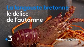 La langouste bretonne le délice de lautomne  Météo à la carte [upl. by Tsai883]