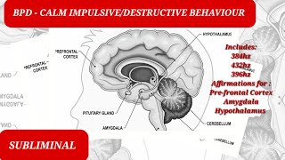 IMPULSIVEDESTRUCTIVE BEHAVIOUR BPDSUBLIMINALBRAIN NEURO HEALING 🧠 [upl. by Nonad]