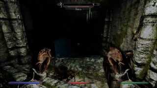 Lets Play Skyrim  Partie 23  Massacre au phare dHiveronde [upl. by Elawalo]