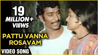 Pattu Vanna Rosavam Video Song  Kanni Paruvathile  Rajesh Vadivukkarasi  Malaysia Vasudevan Hits [upl. by Hanley592]