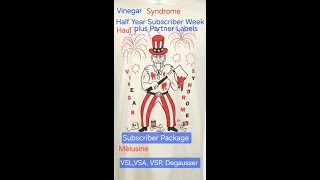 Vinegar Syndrome Midyear Subscriber Week 2024 Haul  EP136  The HORROR Of It ALL movie podcast [upl. by Ahsart282]