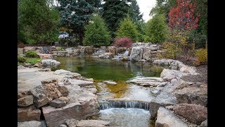 BACKYARD RECREATION POND [upl. by Lerrad982]