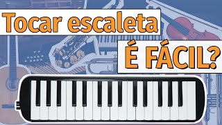 Tocar escaleta é fácil 47 [upl. by Nilrah]