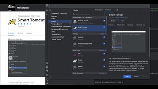 How to Install Tomcat in IntelliJ IDEA amp Run JSP Project [upl. by Elma195]